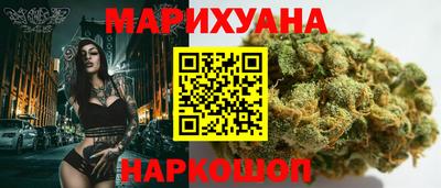 сатива Коммунар