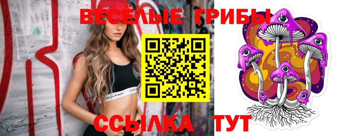 наркота  Вход с VPN  Шарыпово  Галлюциногенные грибы мицелий 