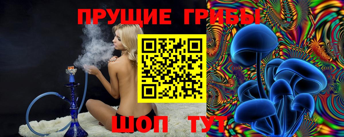 Галлюциногенные грибы Psilocybe Шарыпово