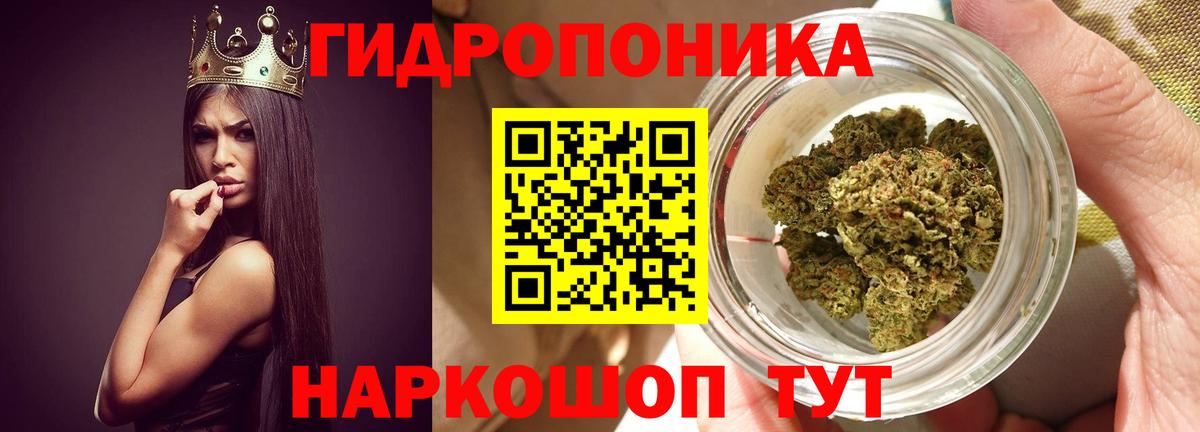 Шарыпово  Бошки марихуана индика  Конопля тримм  Марихуана семена  Вход с VPN 